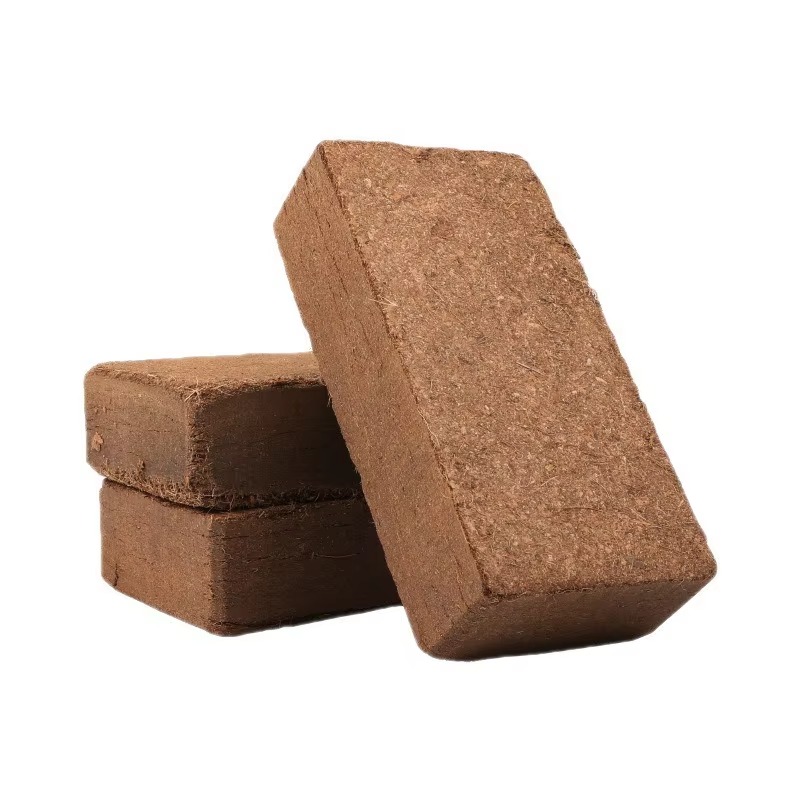 爬虫類用床材 圧縮ココナッツコイアブリック 500g 脱塩コ - Sphagnum Moss Dry のレビューと価格