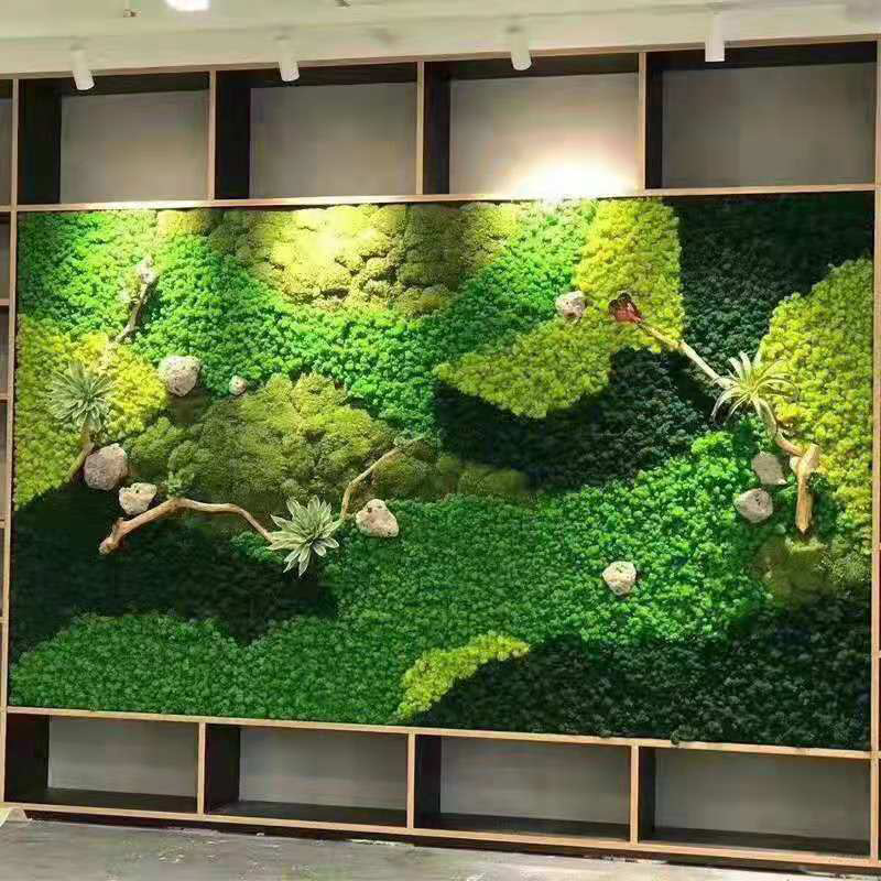 人工苔,20g,ミニの永遠の生地,偽の草,DIYの手工芸品, - Sphagnum Moss Dry のレビューと価格