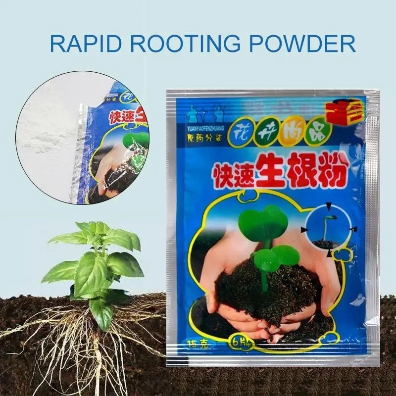 5 個の急速発根粉末植物急速発根剤ホルモン成長根苗発芽ほとん - Root Stimulator Liquid のレビューと価格